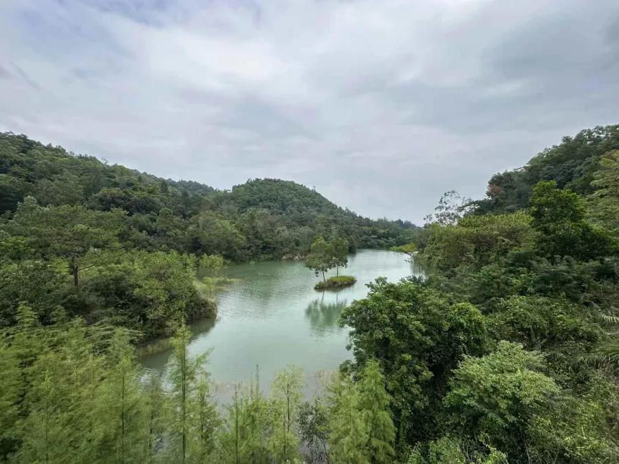 中山金钟水库