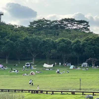 中山金钟水库