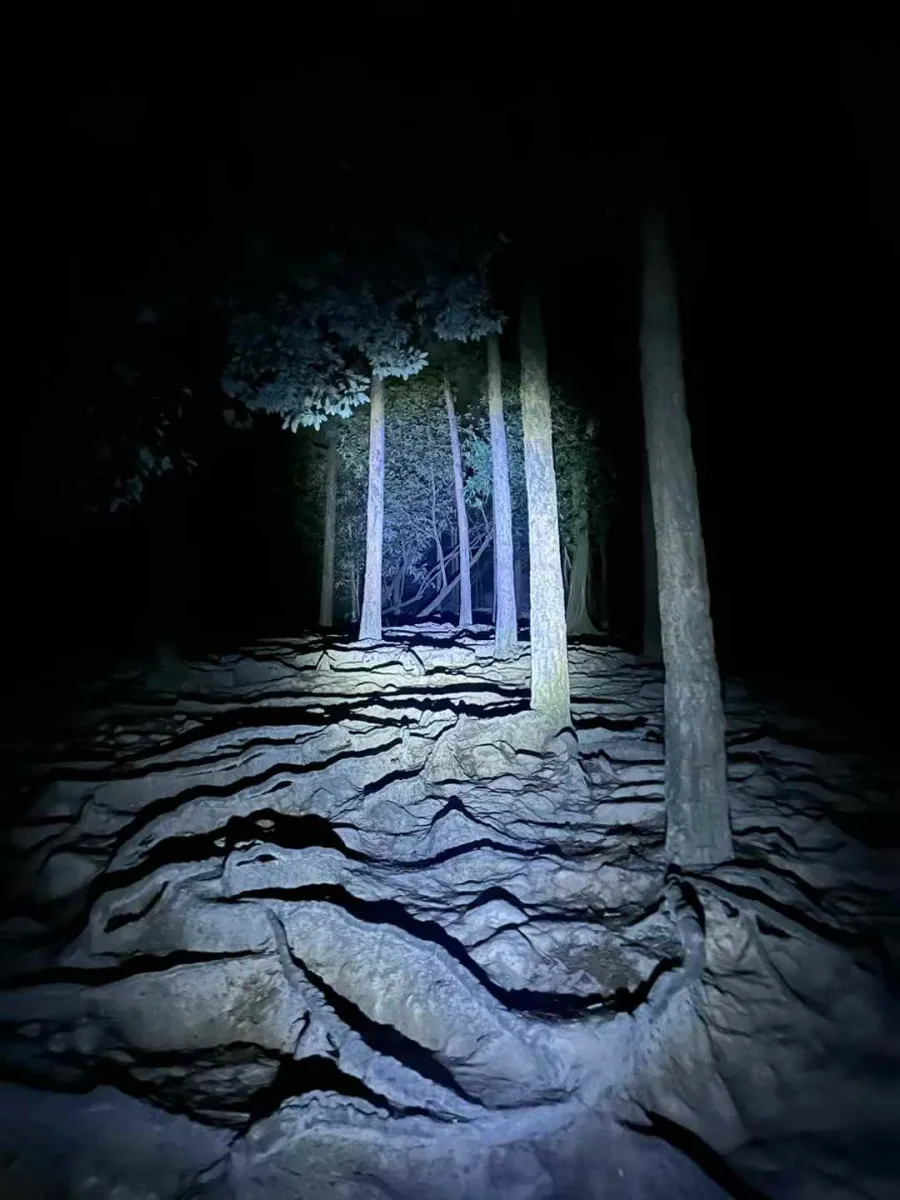 夜爬中山五桂山狮头山
