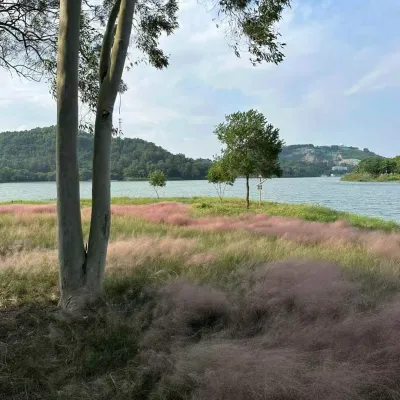中山金钟水库