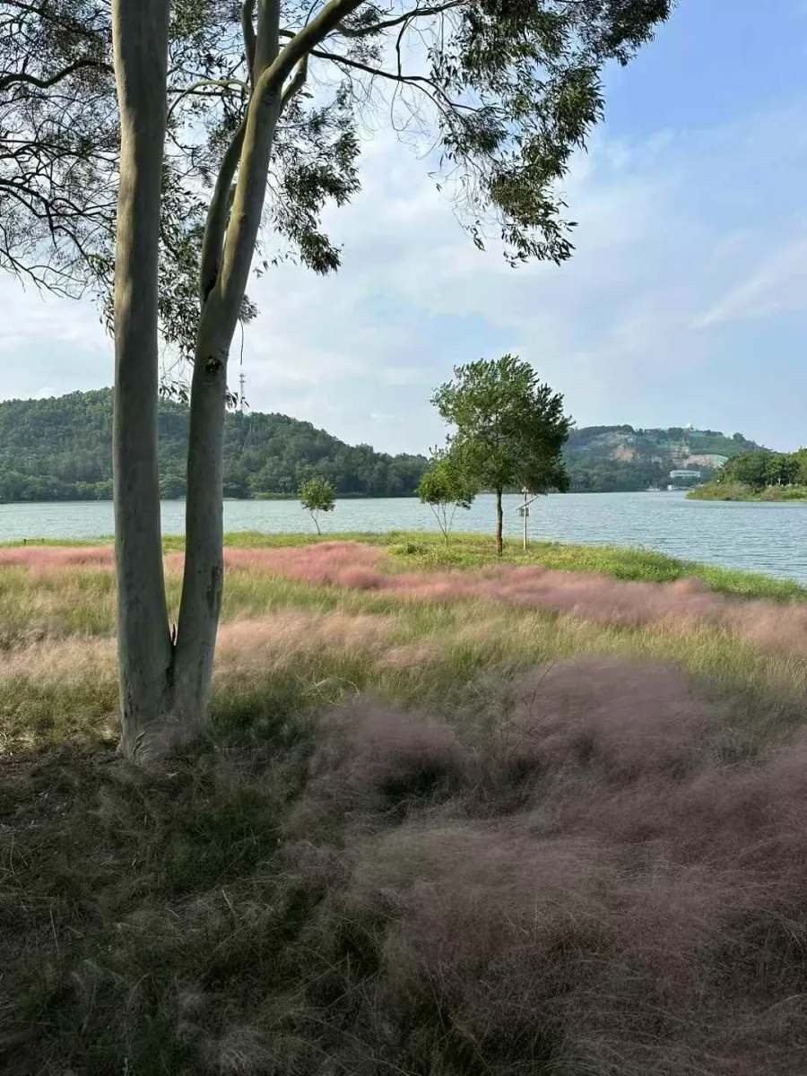 中山金钟水库